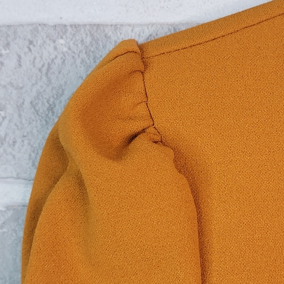 Haute Monde Burnt Orange Boho Sinched Ruffled Sleeve High Fashion Blouse Top M - Picture 11 of 16